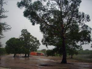 Uma bela paisagem da chuva molhando o terreno arenoso em meio ao Cerrado